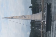 Luffe 5024